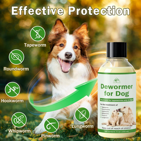 WOMRICH dewormer for dogs dropper shows precise administration.