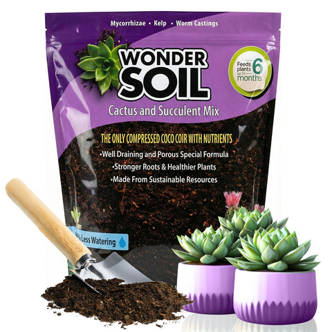 Wonder Soil cactus mix in bag, ready-to-use for thriving succulents.
