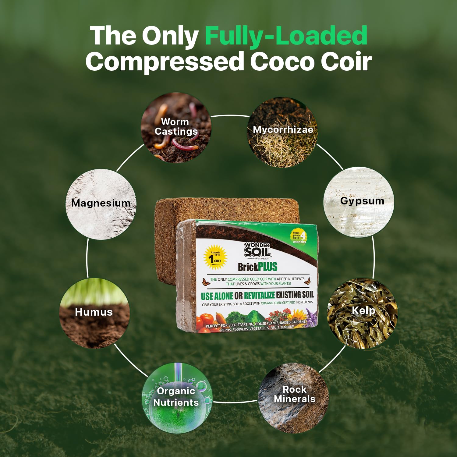 Wonder Soil coco coir brick before expansion compact and easy to store