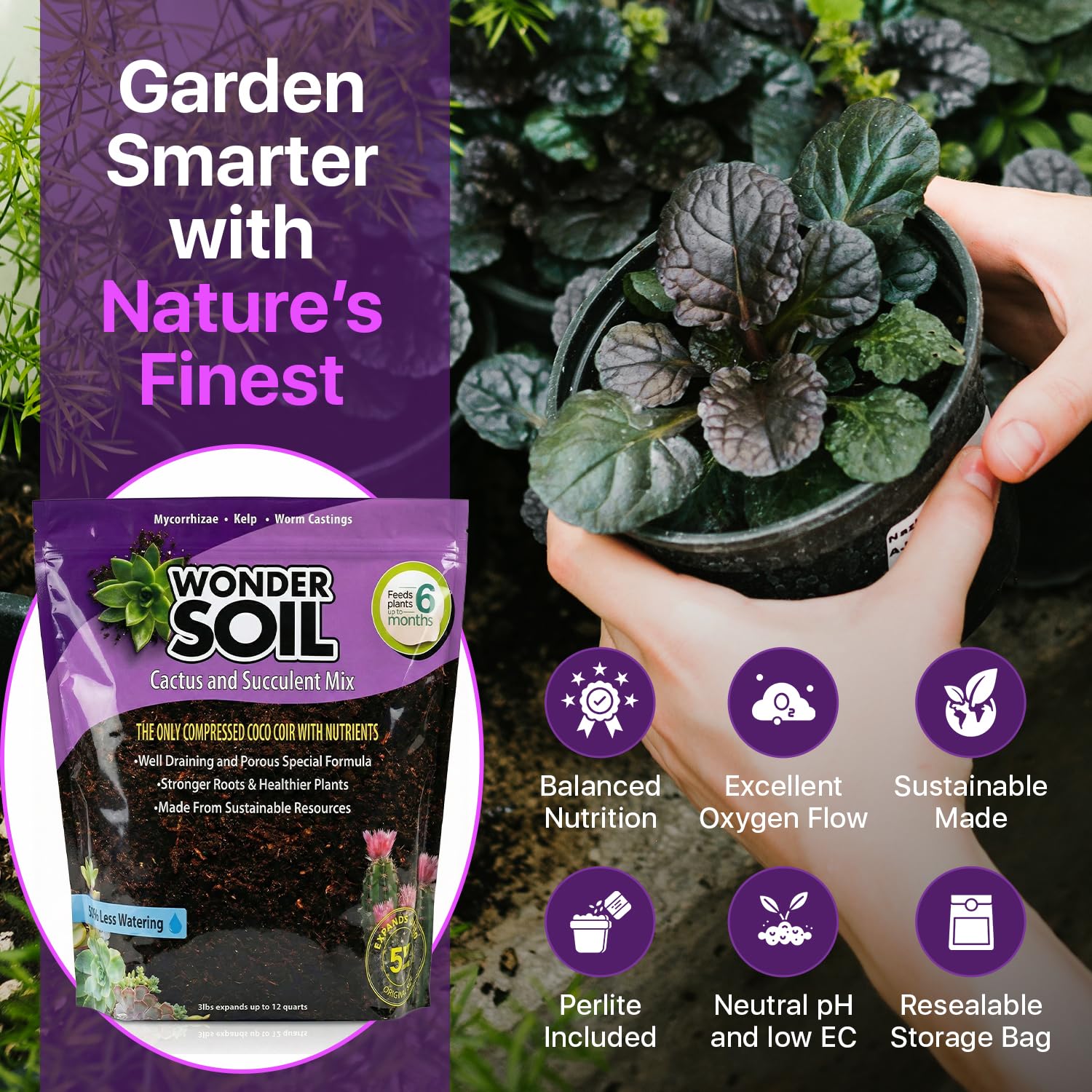 Indoor outdoor setup with Wonder Soil, ideal for cacti and succulents.