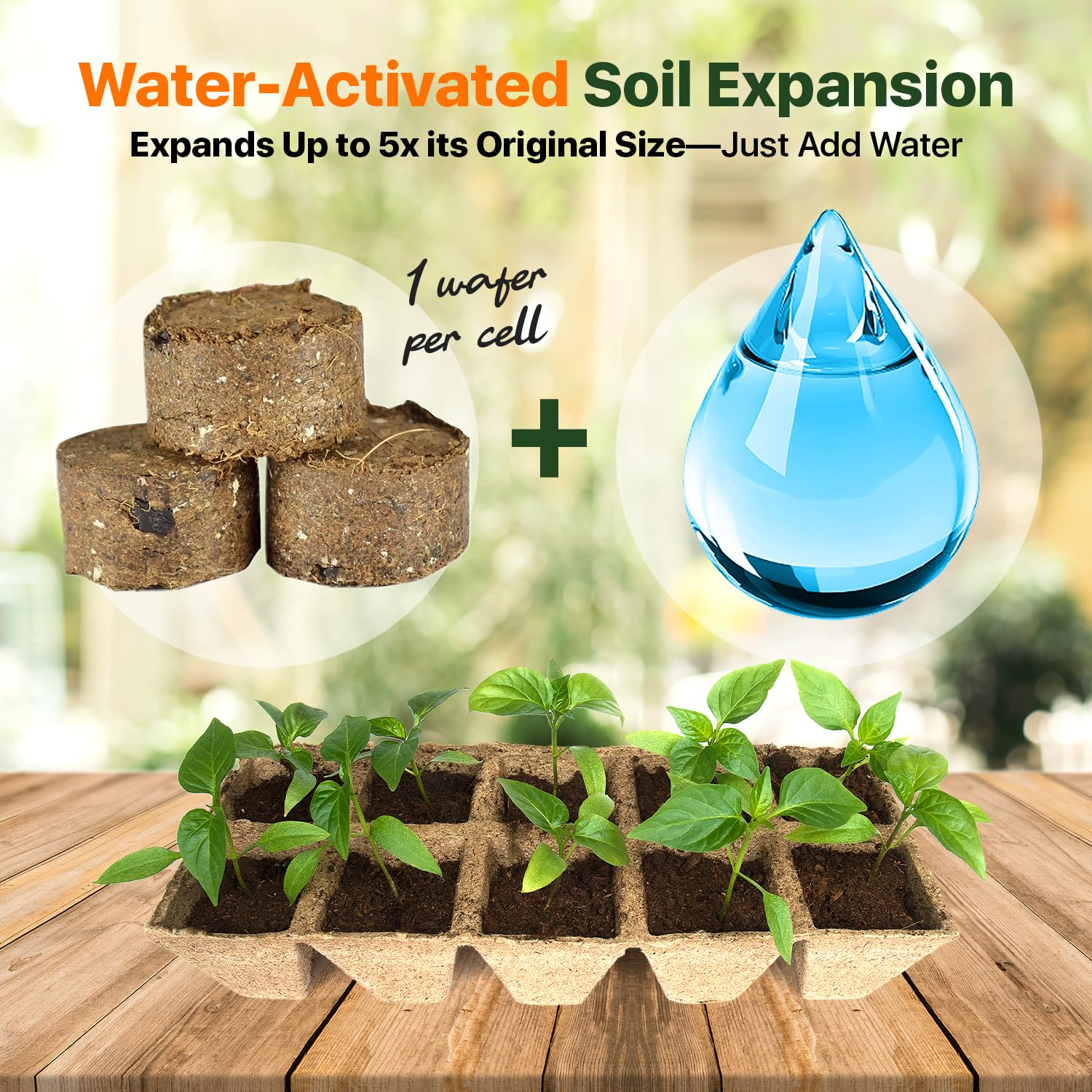 Wonder Soil with mycorrhizae and worm castings promotes healthier germination