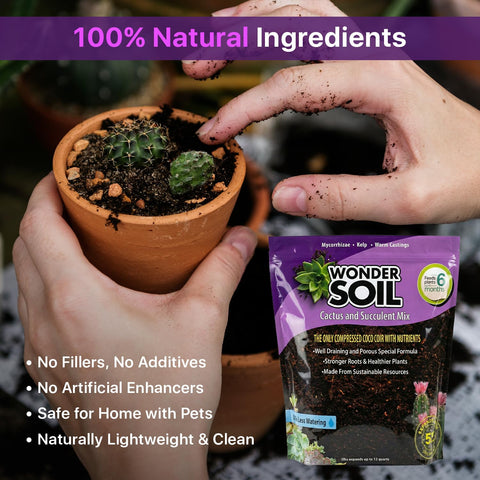 Wonder Soil peat-free formula supports eco-friendly succulent care.