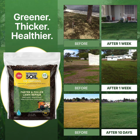 Wonder Soil pumice granules image shows improved drainage and aeration.