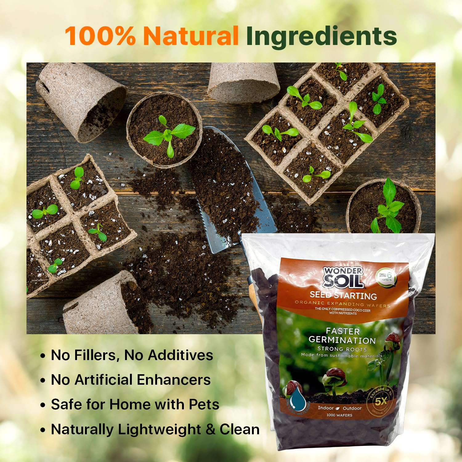 Wonder Soil ready-to-plant seedling shows vibrant growth potential.