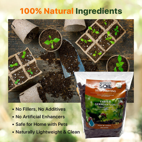 Wonder Soil ready-to-plant seedling shows vibrant growth potential.