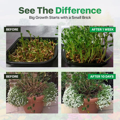 Seed starting and microgreens succeed with Wonder Soil’s ready-to-use mix.