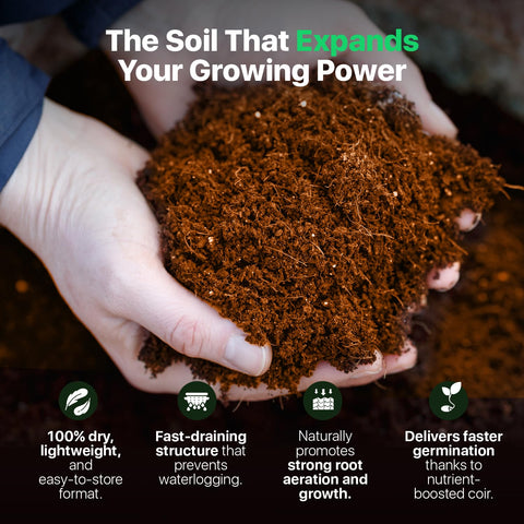 Wonder Soil supports vegetables and herbs with balanced moisture retention