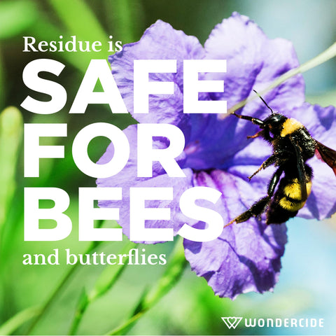 Backyard spraying in progress shows quick outdoor pest control with Wondercide.