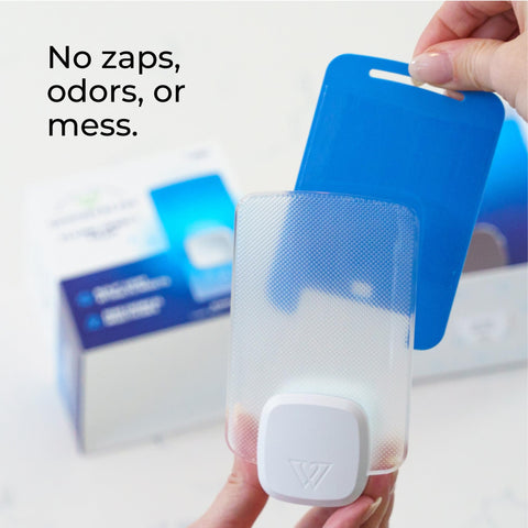 Wondercide Blu-V light attracts common indoor pests quietly and effectively
