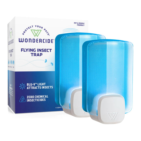 Wondercide Flying Insect Trap front view in a kitchen setting, plug-in design