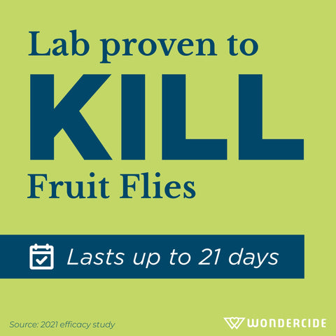 Wondercide fruit fly trap usa-made crafted in the USA