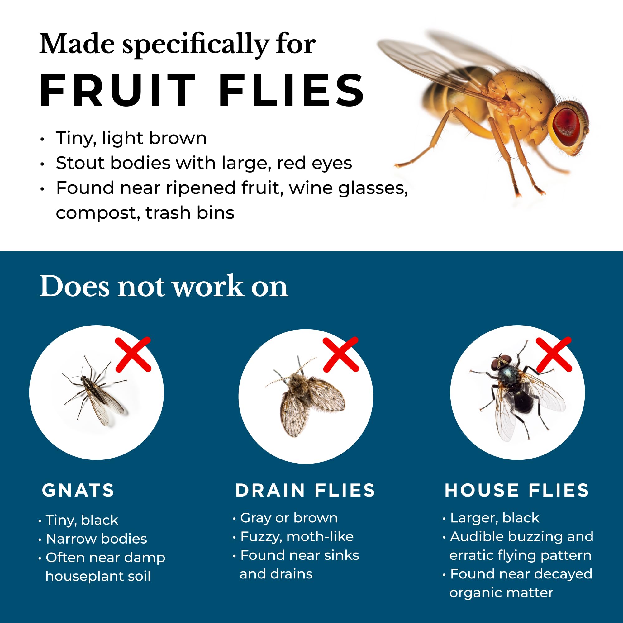Wondercide fruit fly trap 21-day protection replace every 21 days for ongoing defense