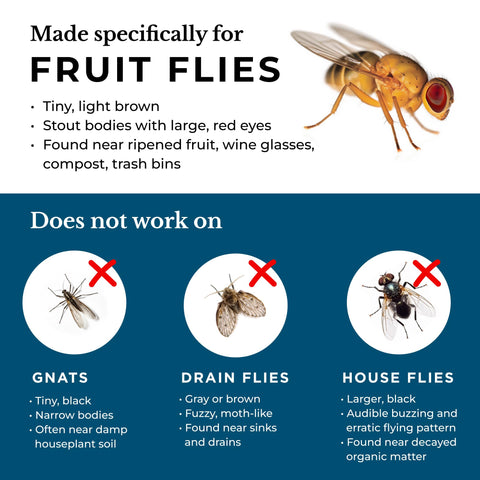 Wondercide fruit fly trap 21-day protection replace every 21 days for ongoing defense