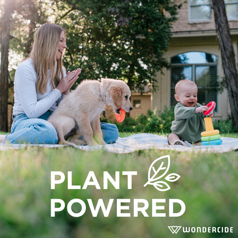Wondercide plant powered ingredients highlight natural repellent action