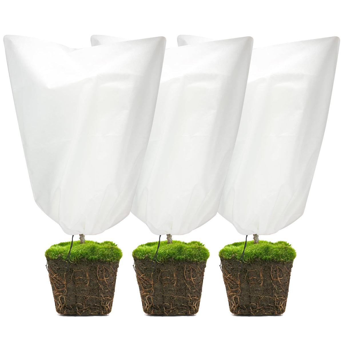 WonderField plant covers on a plant shield against frost and wind.