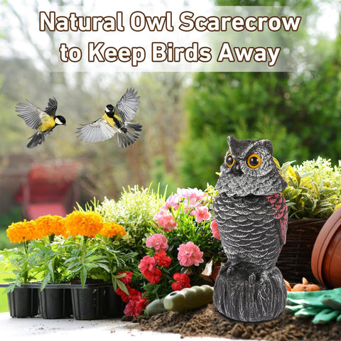 WonderField plastic owl scarecrow with movable head for flexible placement.