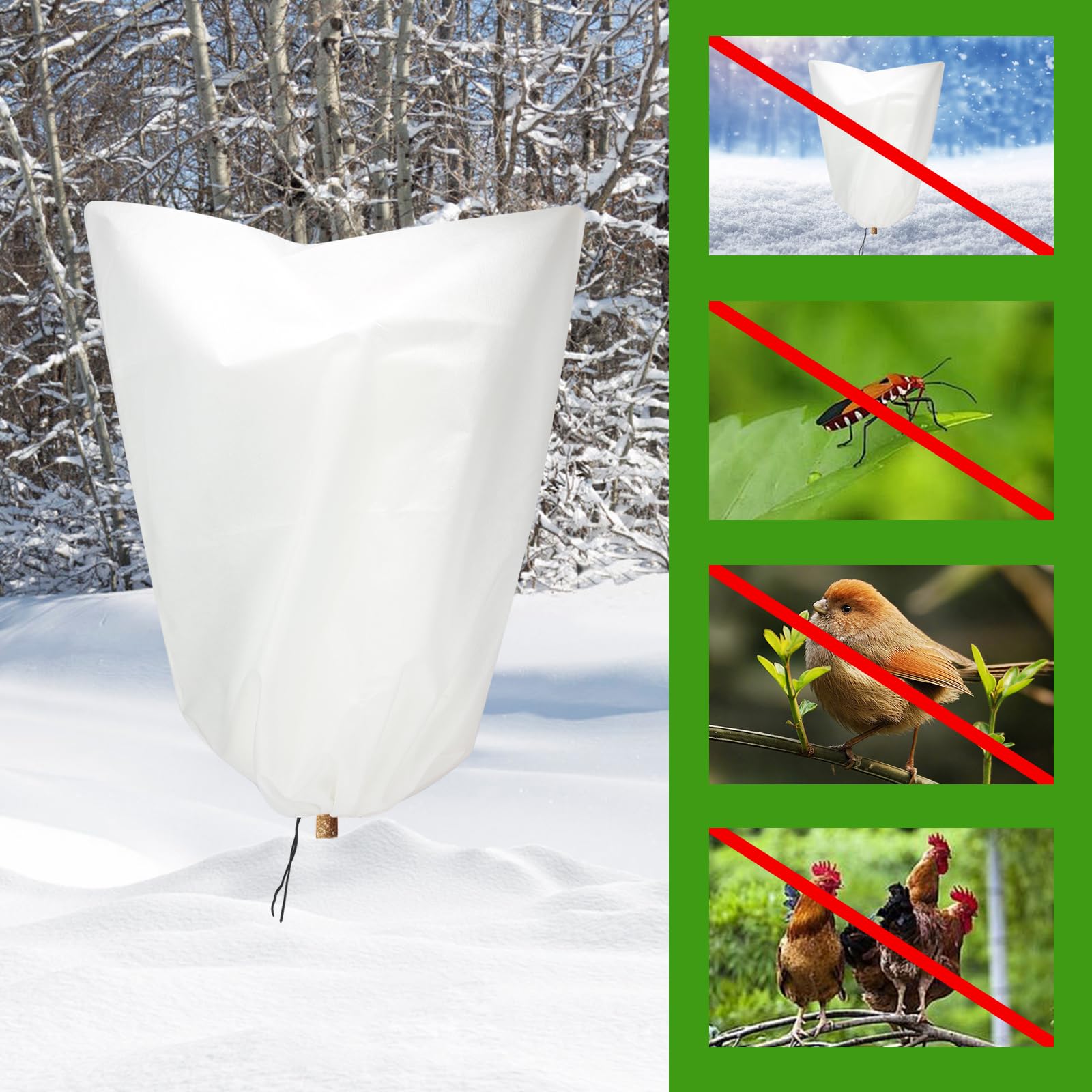 WonderField protecting potted shrubs during chilly weather and gusts.
