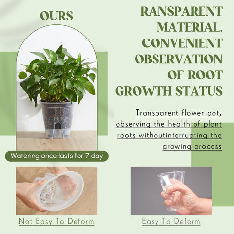 Wonderjune bare-root planter makes beginners feel confident starting new plants indoors or outdoors.