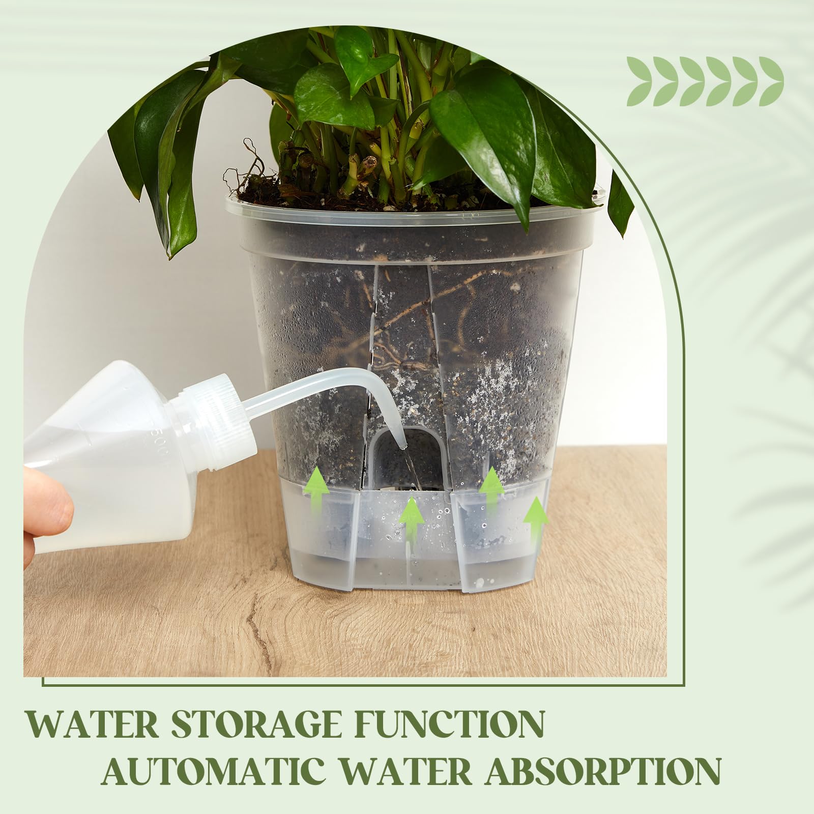 Wonderjune clear design allows quick root and soil checks for healthier care.