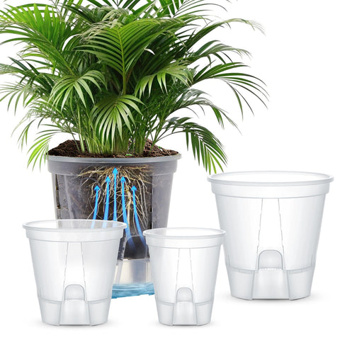 Wonderjune self-watering pot with deep reservoir for steady root hydration