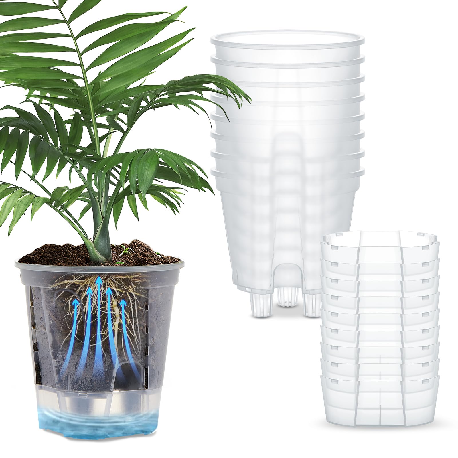 Wonderjune self-watering pot with a deep reservoir for steady plant hydration.