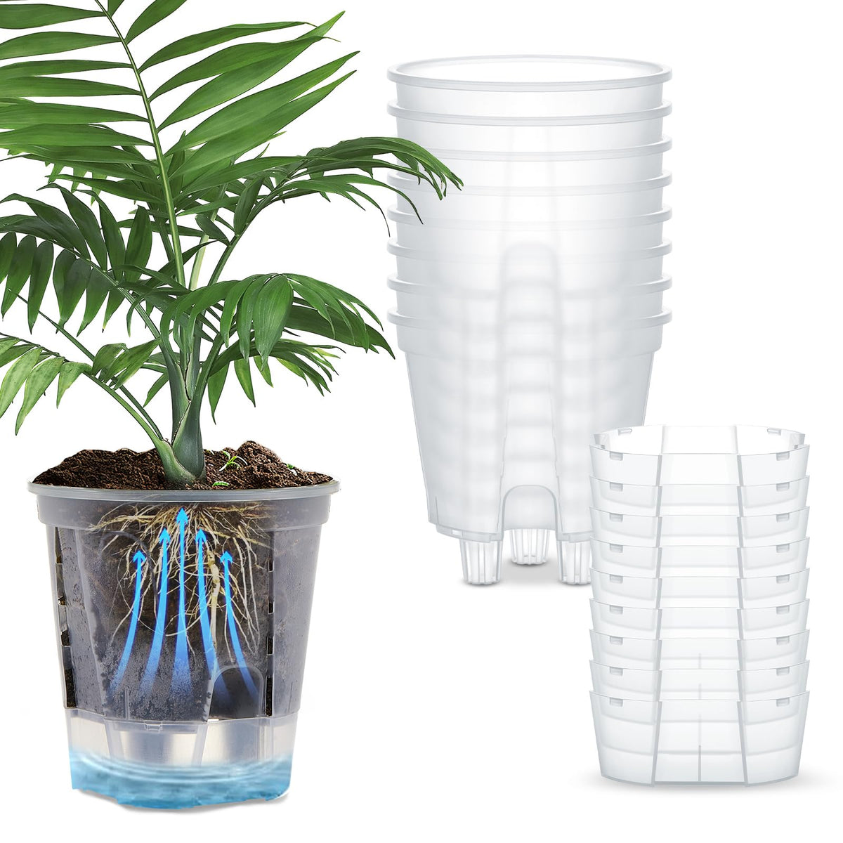 Wonderjune self-watering pot with a deep reservoir for steady plant hydration.