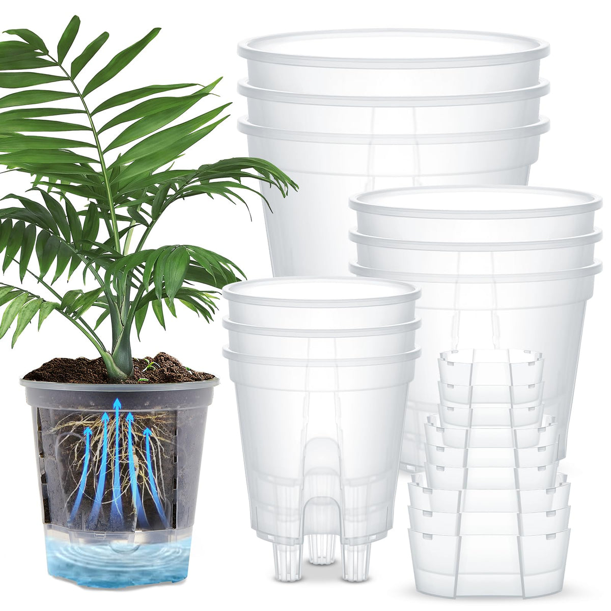 Wonderjune self-watering pots with a deep reservoir support steady moisture for indoor plants.