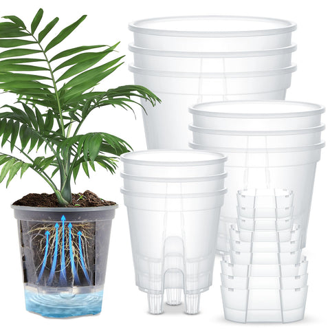Wonderjune self-watering pots with a deep reservoir support steady moisture for indoor plants.