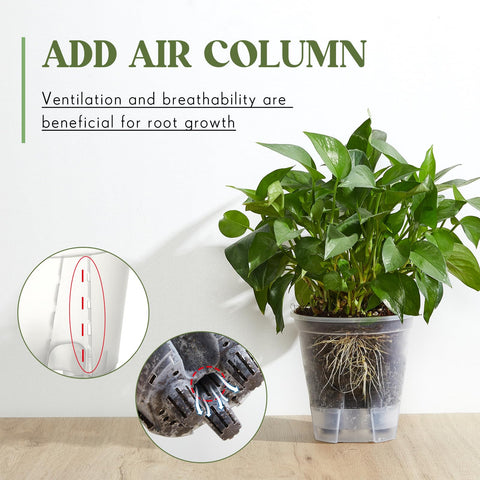 Wonderjune three-size set accommodates succulents, herbs, and larger houseplants.