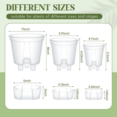 Wonderjune transparent pots enable quick root monitoring and soil checks.