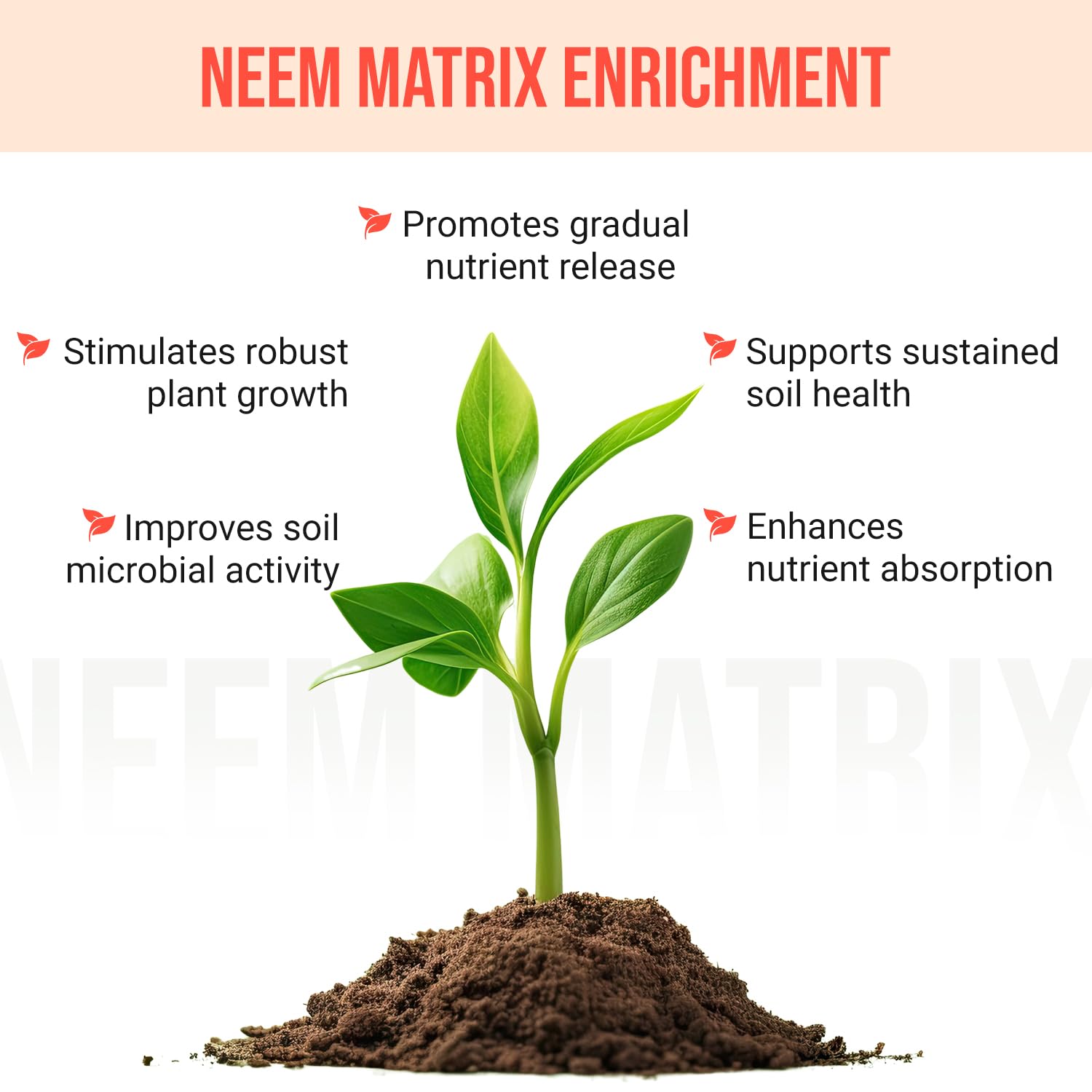 WonderTree Eden 7-7-7 balance supports leaf growth and root strength.