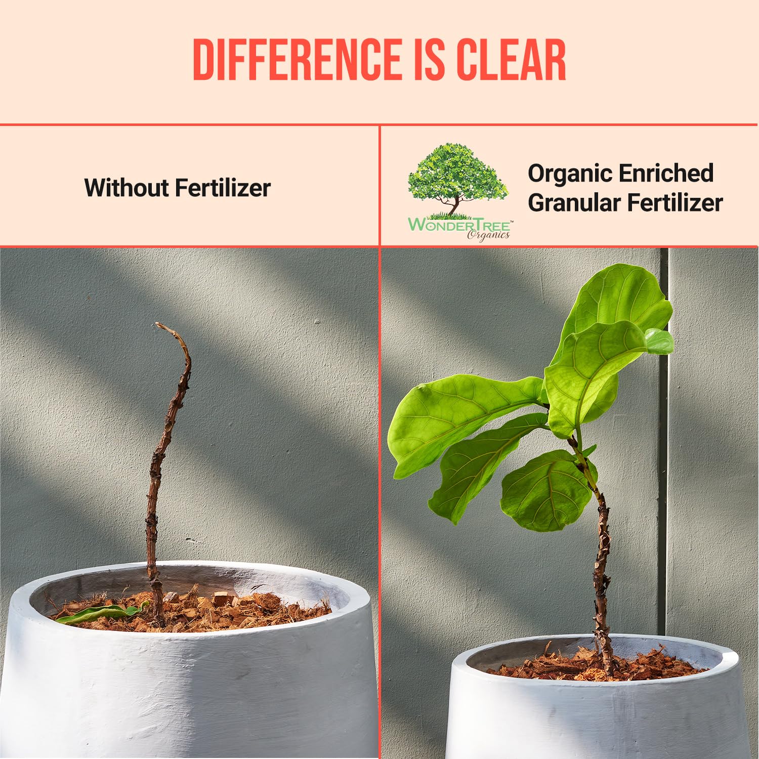 WonderTree Eden supports soil enrichment with organic matter boost.