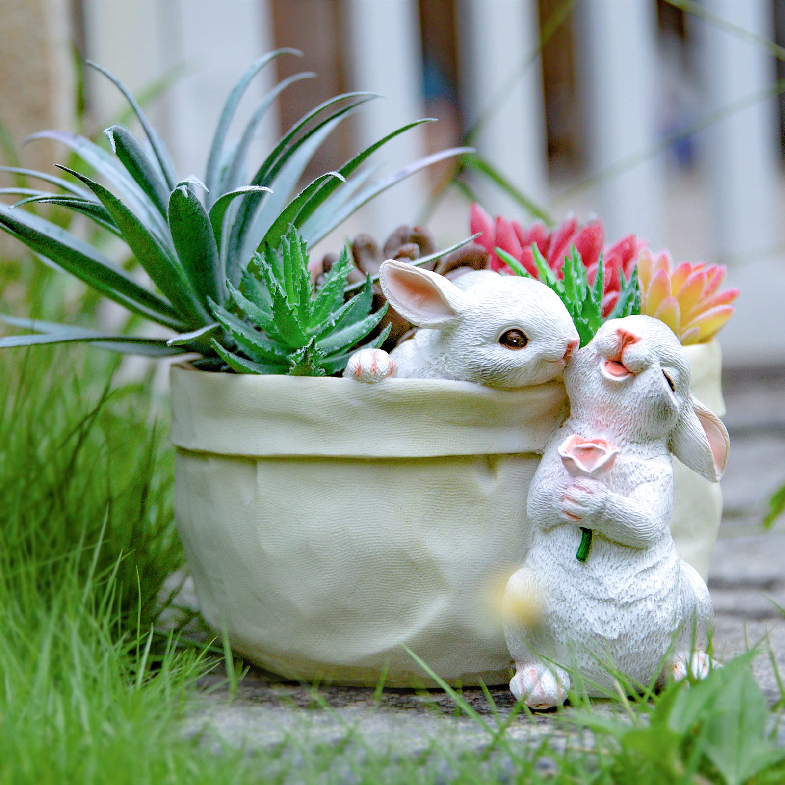 WONDHOME easy-use planter requires no assembly for quick display at home.