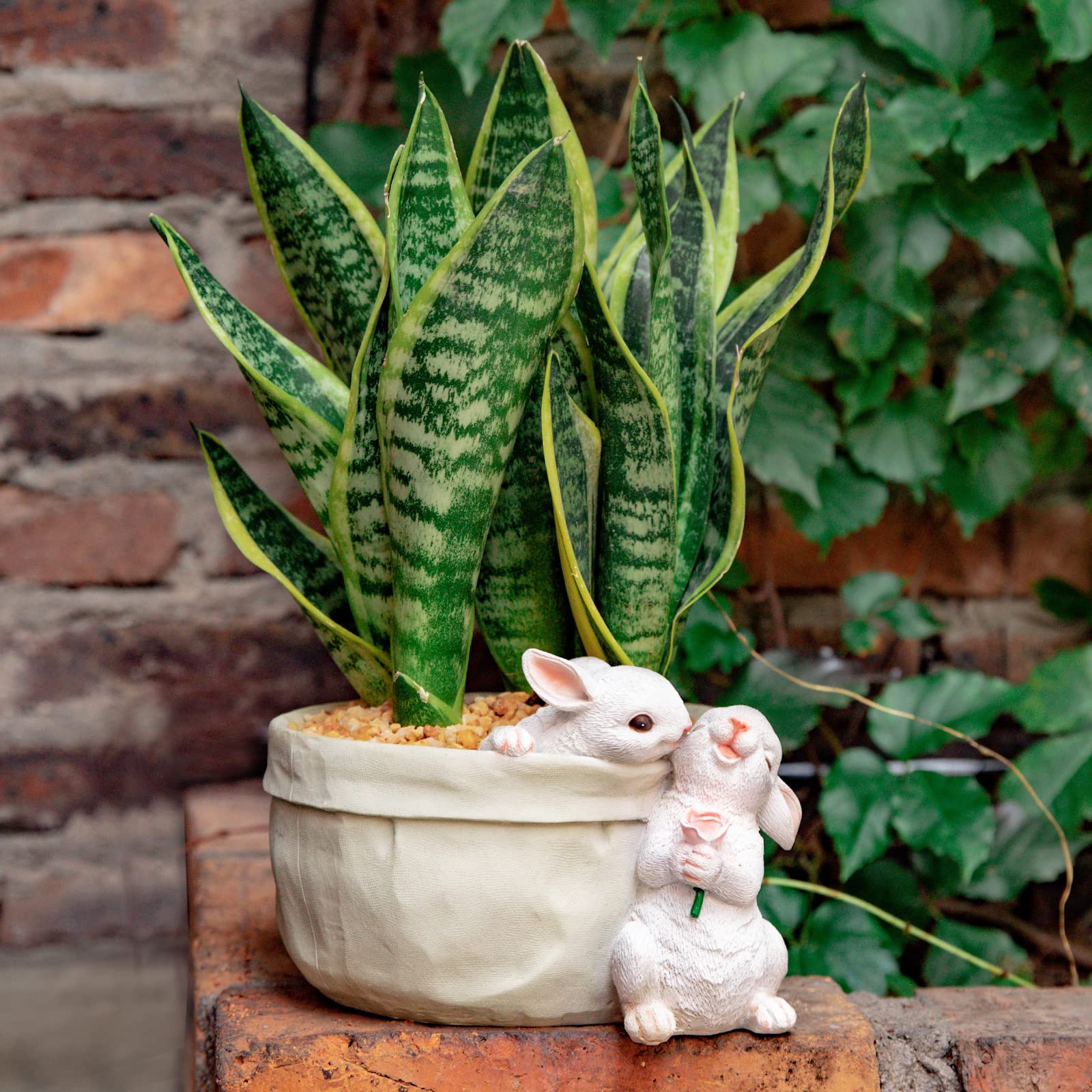 WONDHOME rabbit pot gift idea suitable for mom or friend.