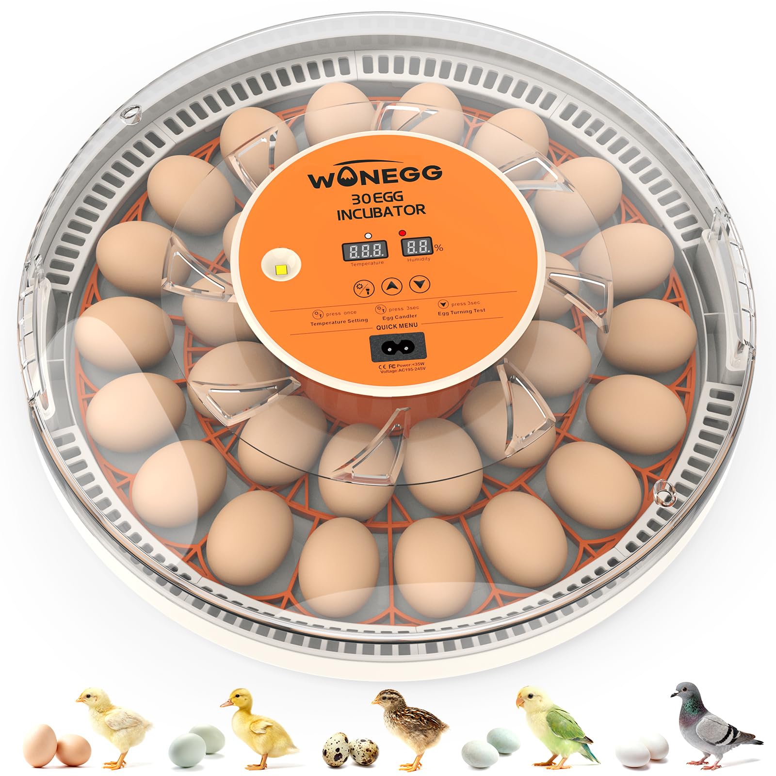 WONEGG 30 egg incubator front view for compact home hatch setup.
