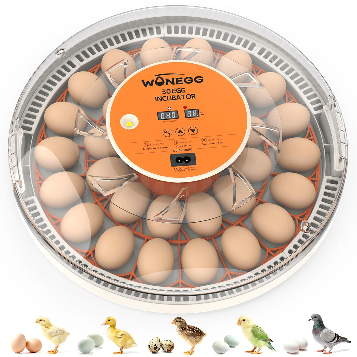 WONEGG 30 egg incubator front view for compact home hatch setup.