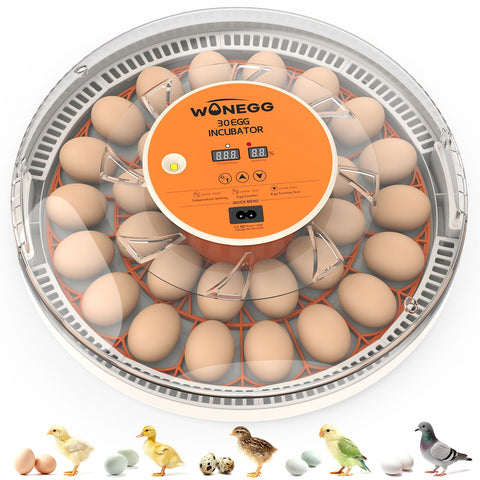 WONEGG 30 egg incubator front view for compact home hatch setup.