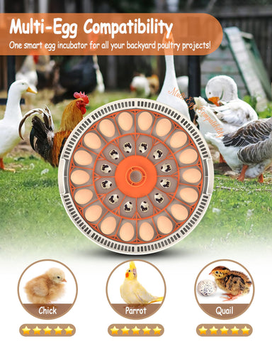 WONEGG 360-degree viewing window offers full observation during incubation.