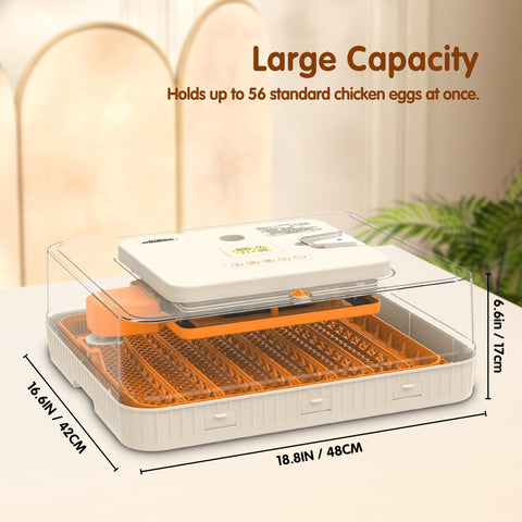 WONEGG pre-set programs simplify adjusting conditions for multiple eggs.