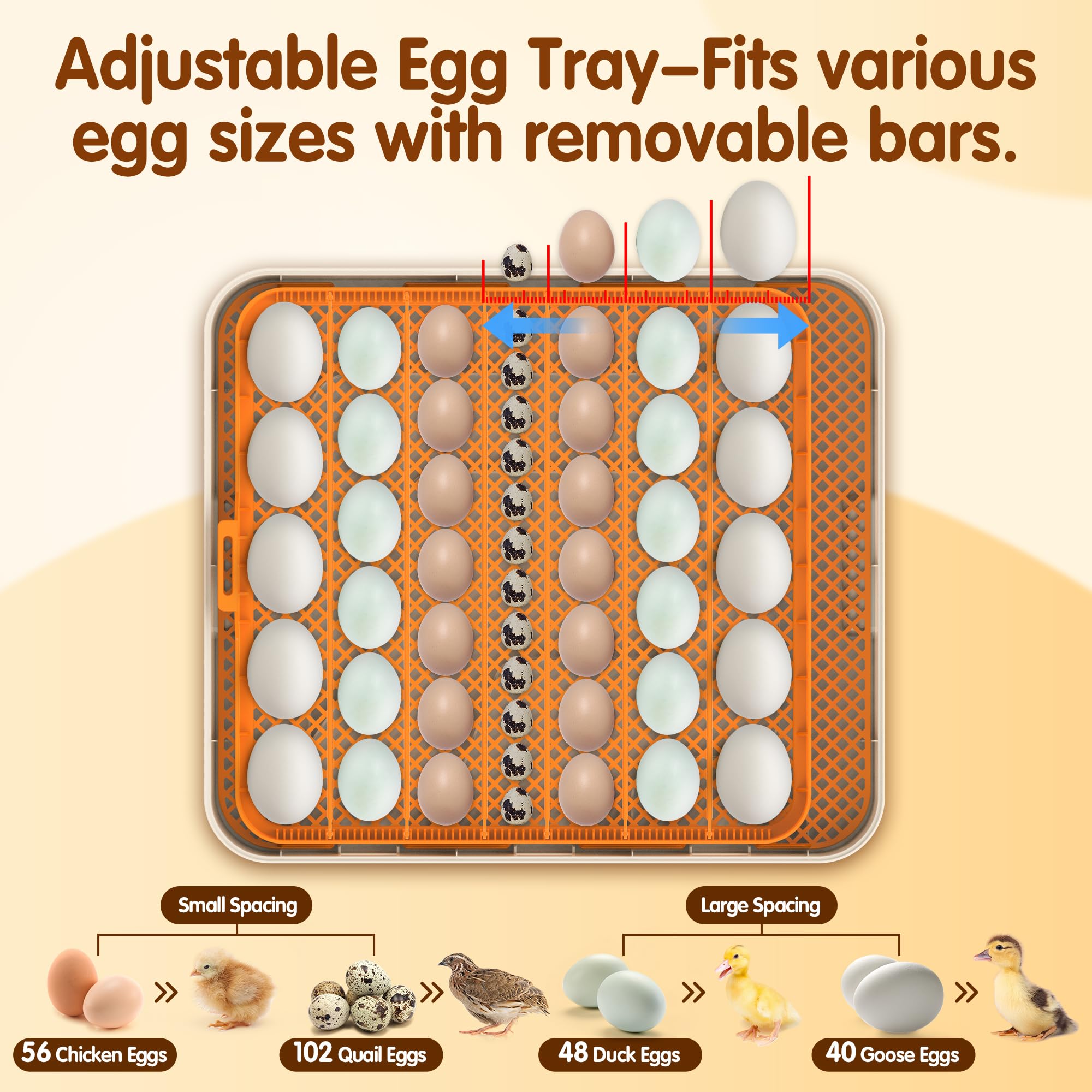 WONEGG 56 Eggs Incubator led-candling provides clear embryo insights with low-energy lighting.