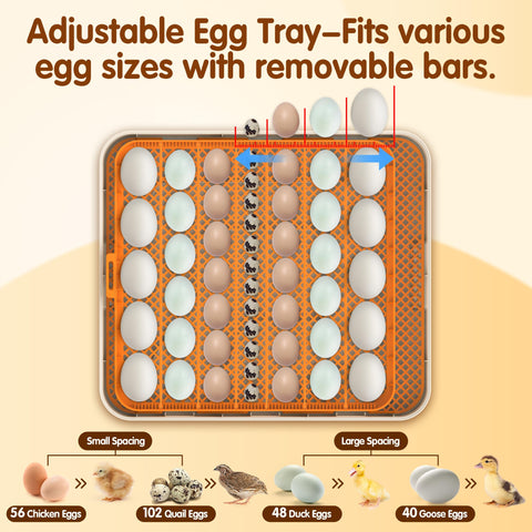 WONEGG 56 Eggs Incubator led-candling provides clear embryo insights with low-energy lighting.