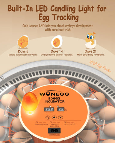 WONEGG humidity display helps maintain critical humidity without opening the incubator.