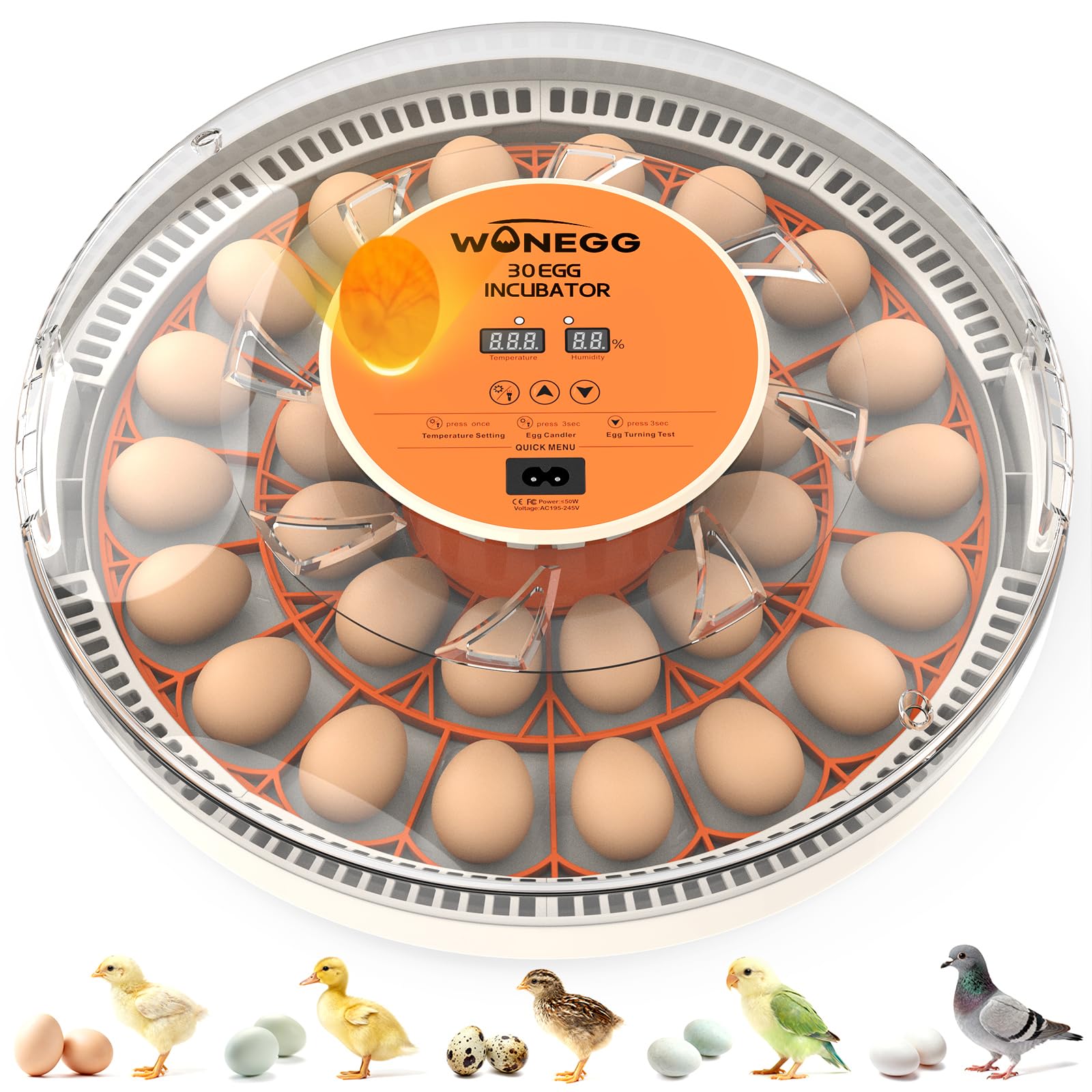 WONEGG incubator front view, compact unit ready for reliable hatch days