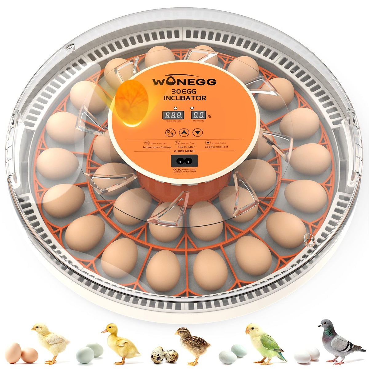 WONEGG incubator front view, compact unit ready for reliable hatch days