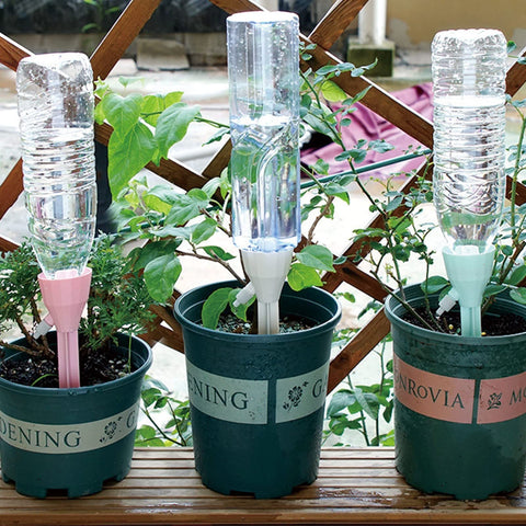 Wonglea vacation-ready setup keeping plants hydrated during trips