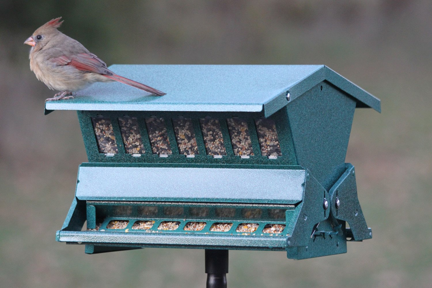 Woodlink Absolute II locking top deters access to seed from squirrels.