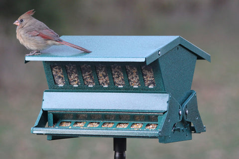 Woodlink Absolute II locking top deters access to seed from squirrels.