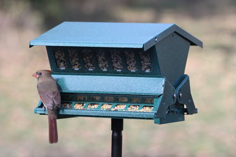 Woodlink Absolute II metal perches illustrate weight-activated access for light to heavy birds.