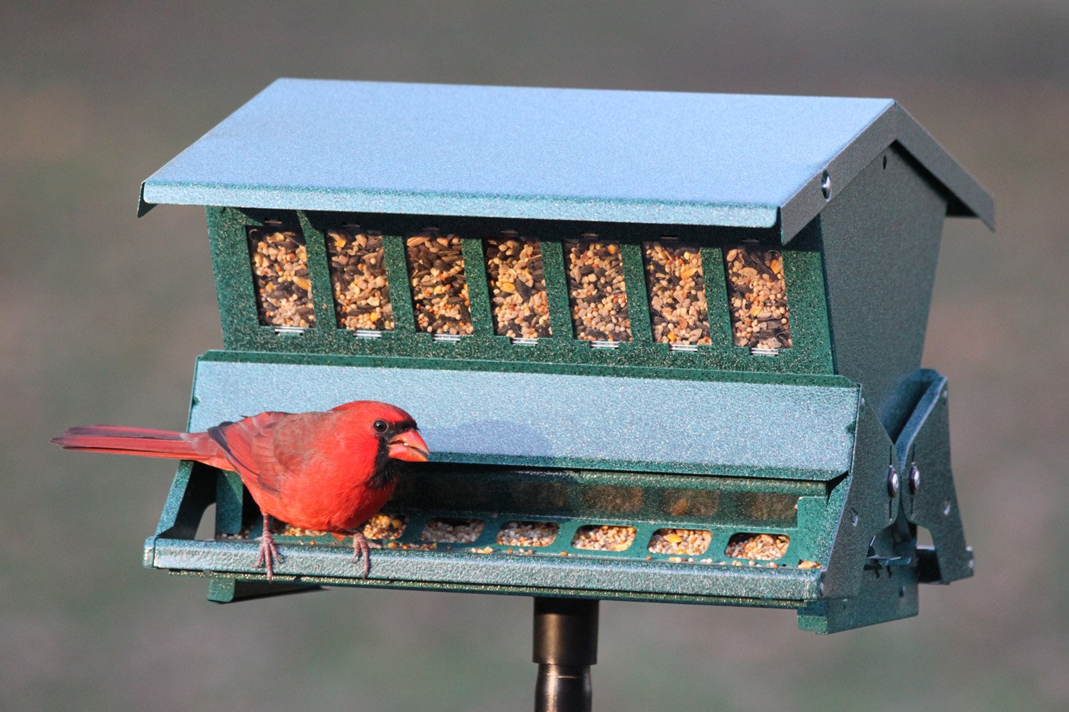 Woodlink Absolute II side view demonstrates dual-sided feeding for attracting a variety of birds.