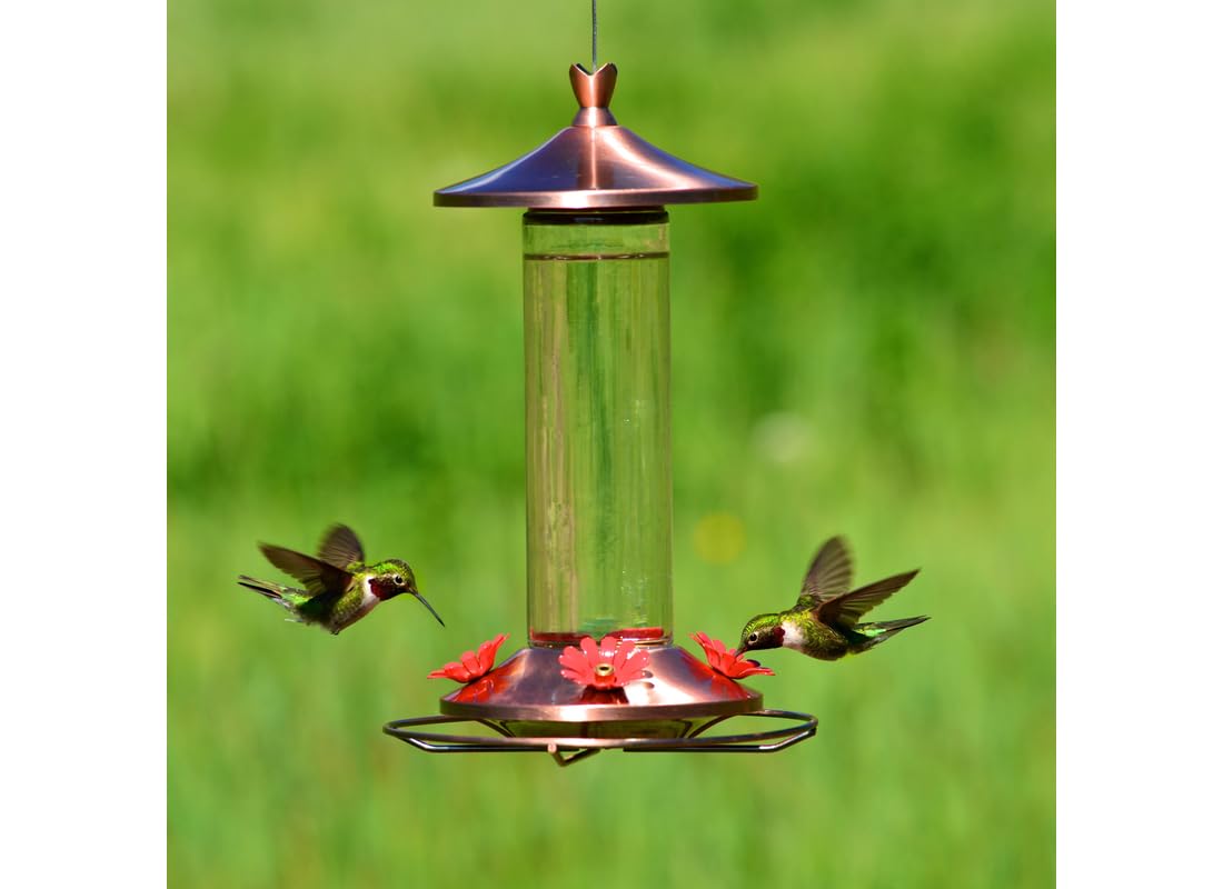 Woodstream Birdscapes wide-mouth design makes filling and cleaning easy.